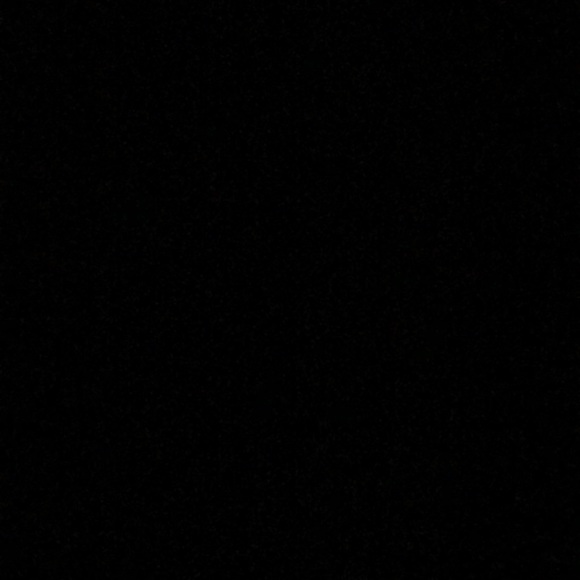 Meet your Posher, Lola - Picture 1 of 1